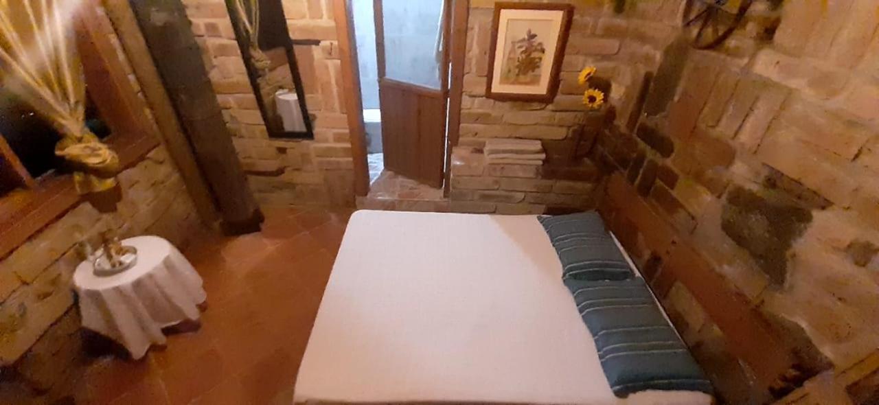 Guest house Patito Feo Hostel *