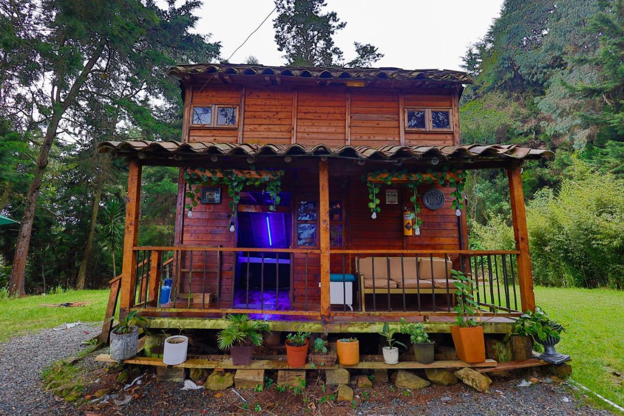 Cabanas & Glamping Kawsay *