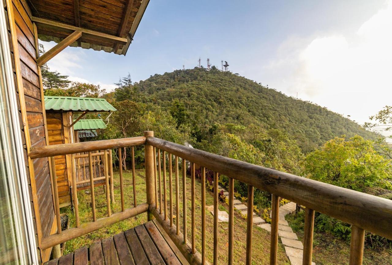 Campsite Cerro Mirador