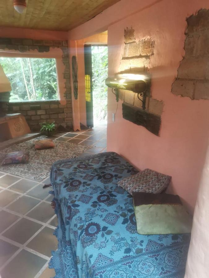 Botanico * Medellin