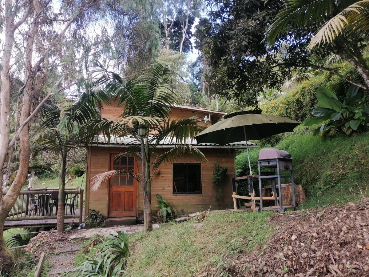 Cabanas & Glamping Kawsay * Medellin