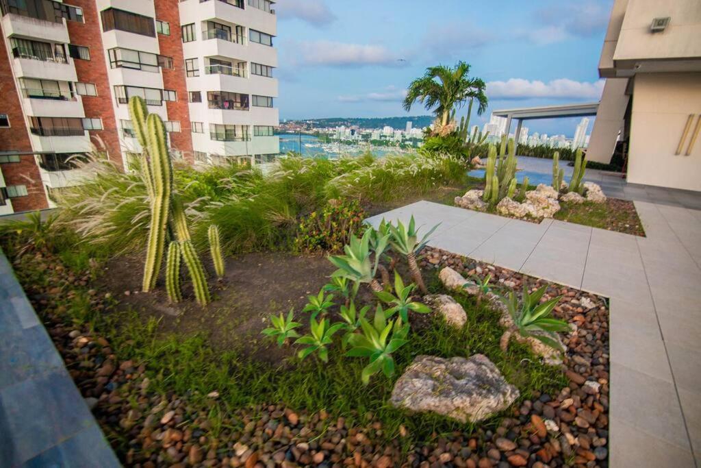 Apartment Beachfront Luxury In Bocagrande *