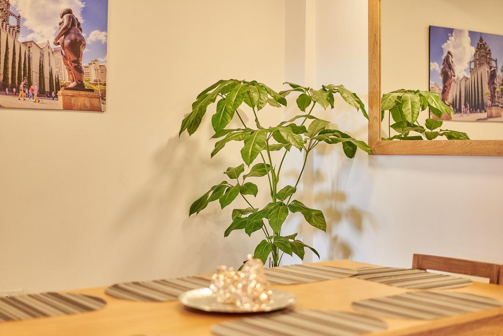 5starhomes - Comodidad Y Encanto En Laureles * Medellin