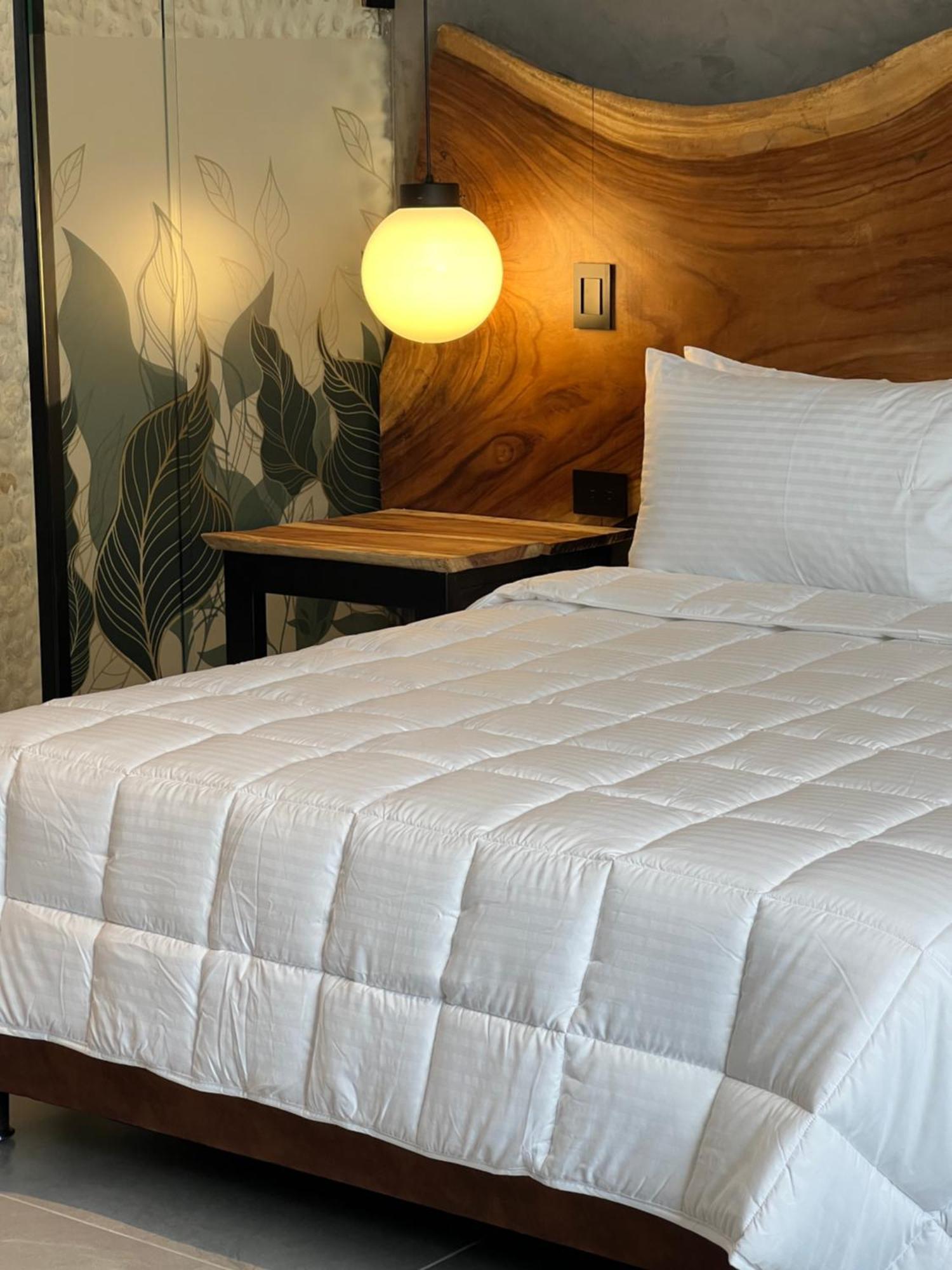 Zelva Negra Hotel Medellin