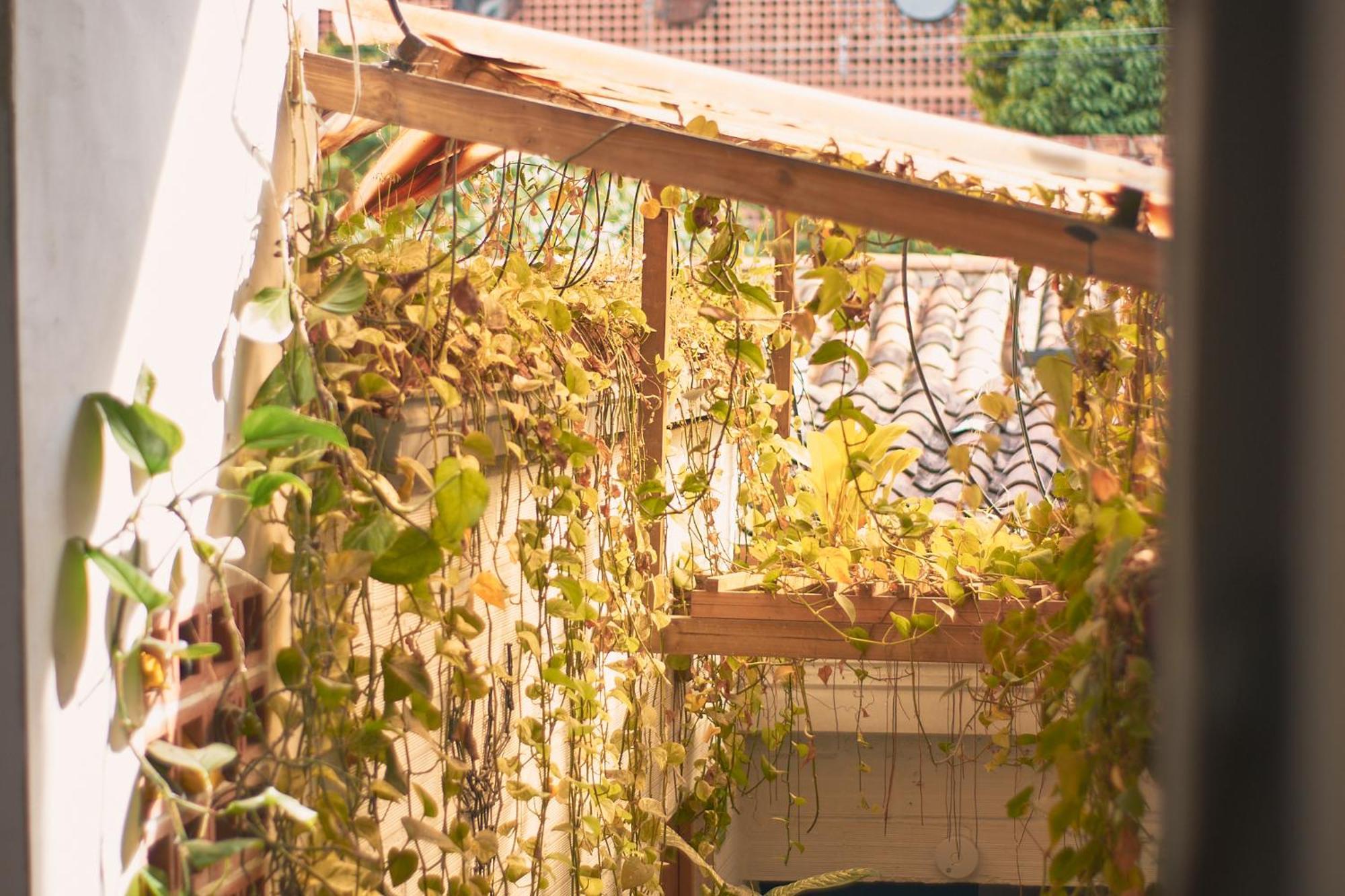 Casa Estacion *