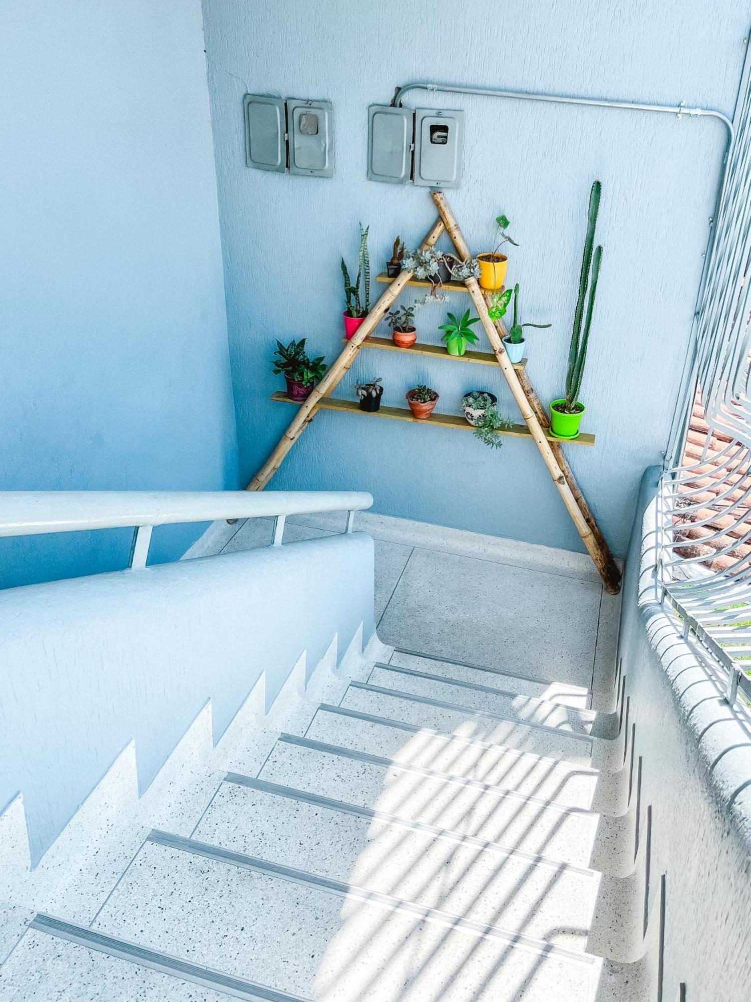 Pensión Casa Guadalupe Laureles Medellín