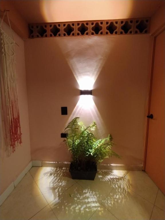 Guest house Casa Primavera