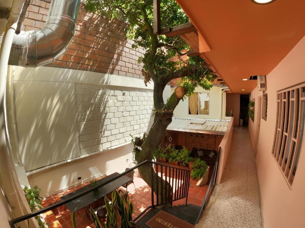 Casa Primavera Guest house