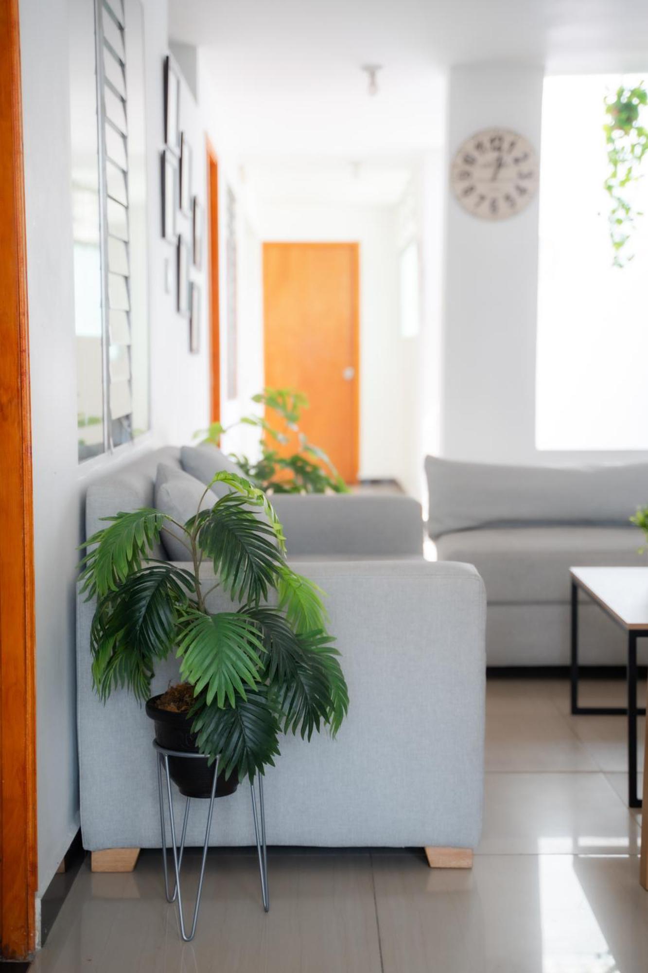 Casa Amplia Y Comoda Cerca Del Estadio Y La 70 Apartment *