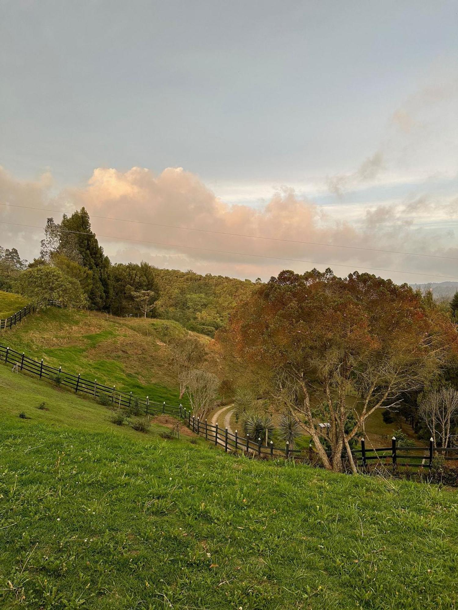 Santaelena Cielo - Retiro Natural Cerca Al Parque Arvi Wi-fi Starlink Holiday home