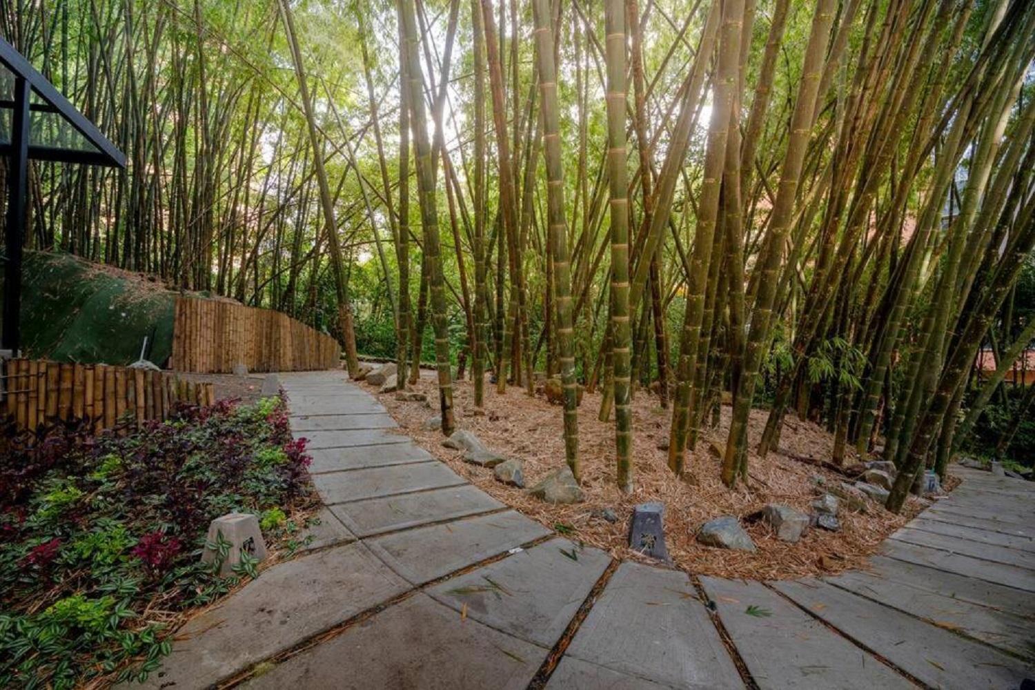 Apartment Luxury Escape By El Tesoro Perfect Location 302