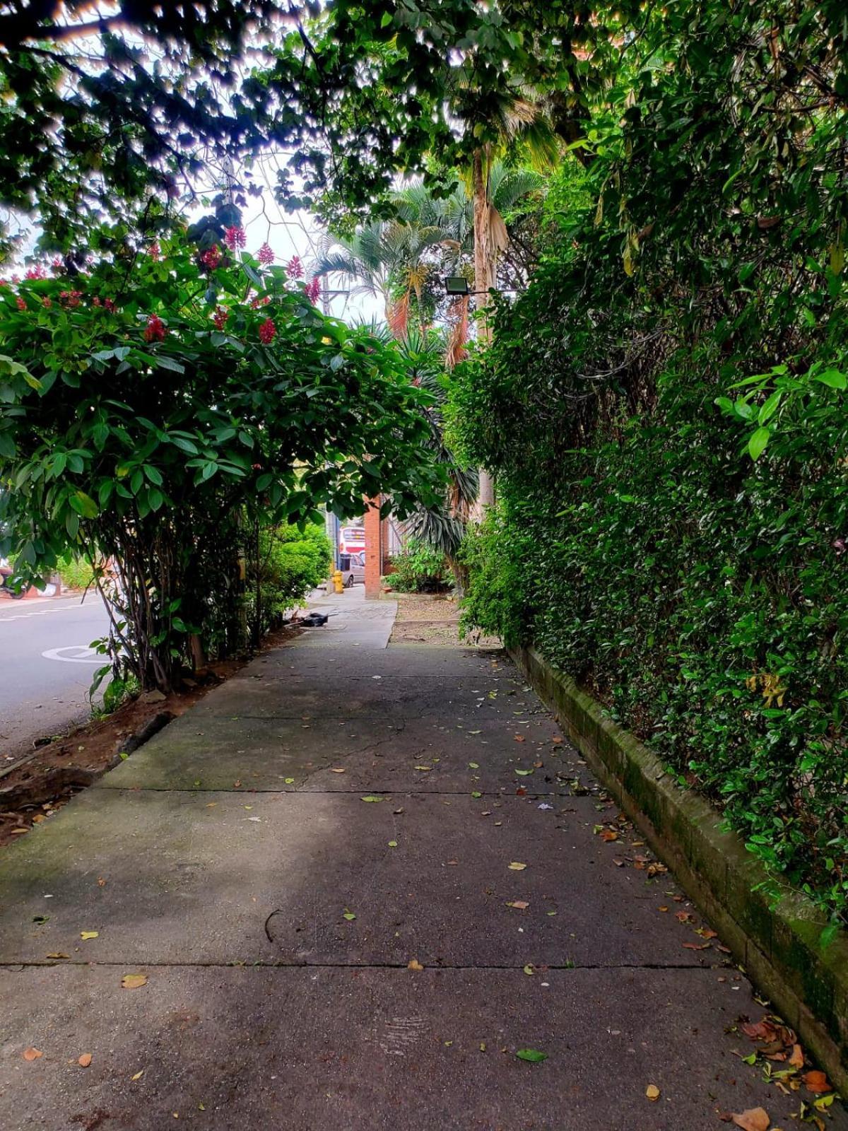 Guest house Casa Dali Coliving *