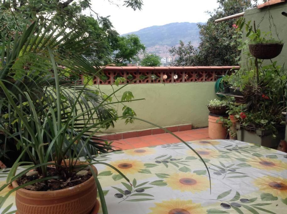 Apartamento-galeria De Arte Cielo Y Tierra Medellin