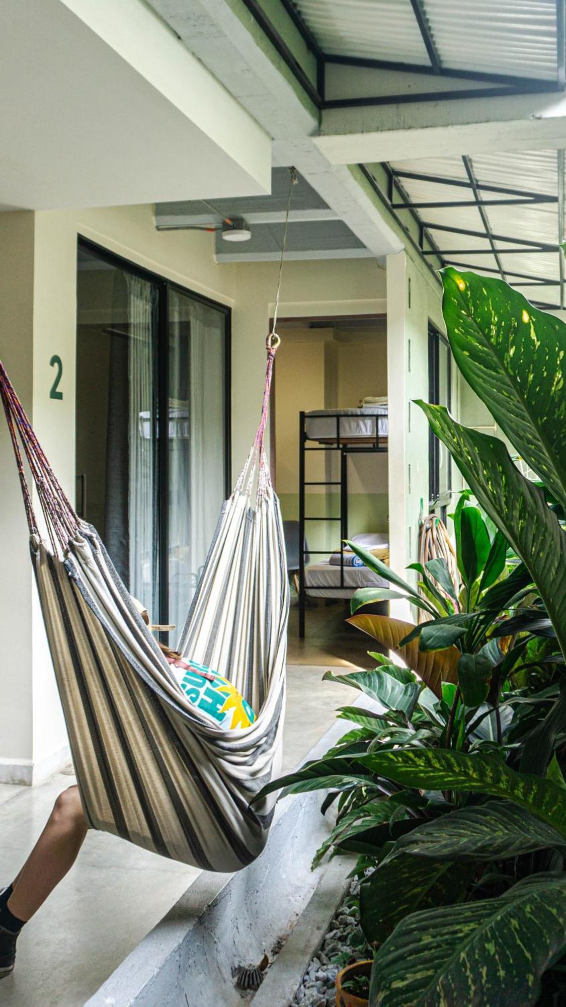 Bed & Breakfast Selva House Medellin