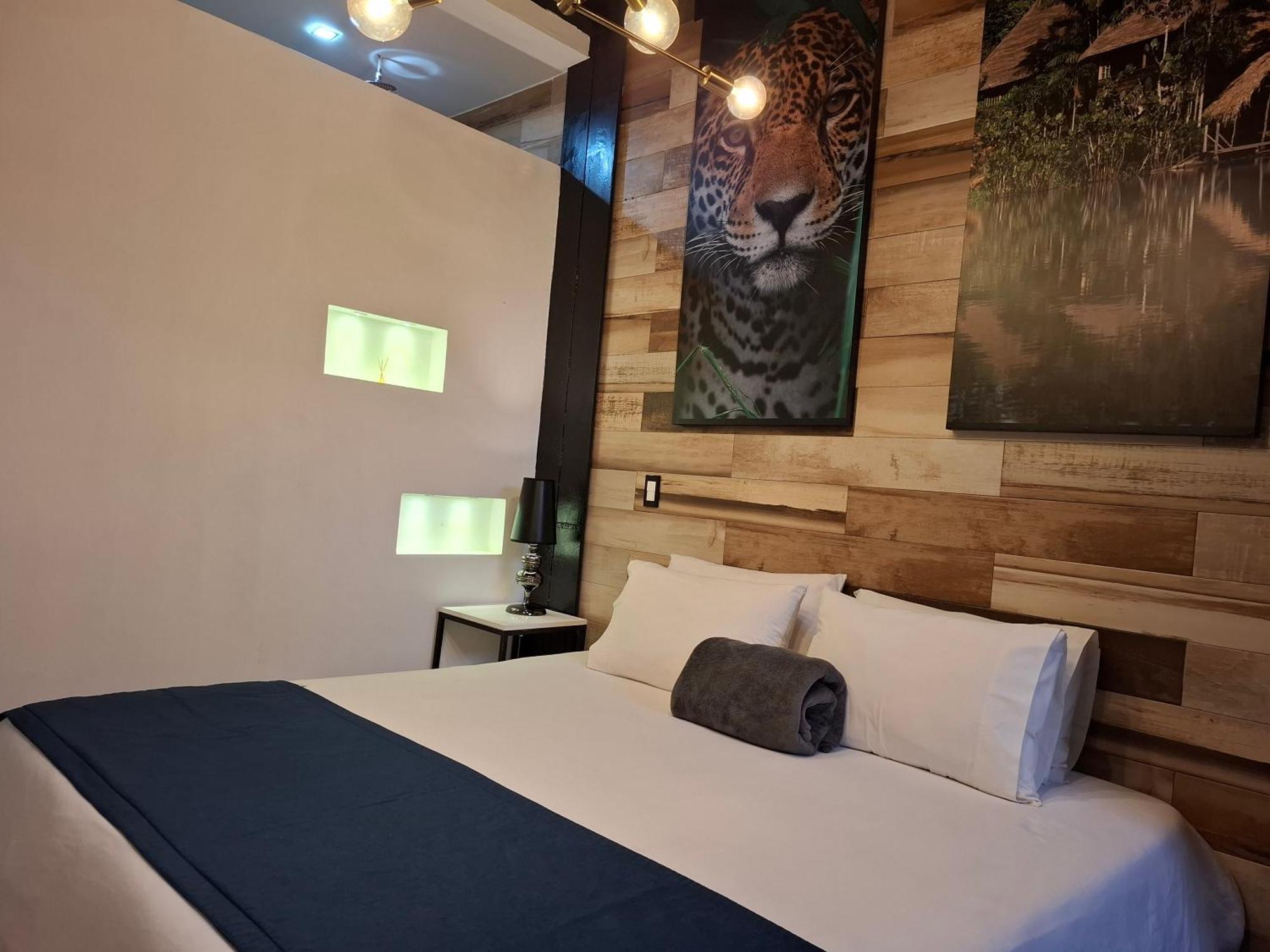 Apartment Loft Lleras *