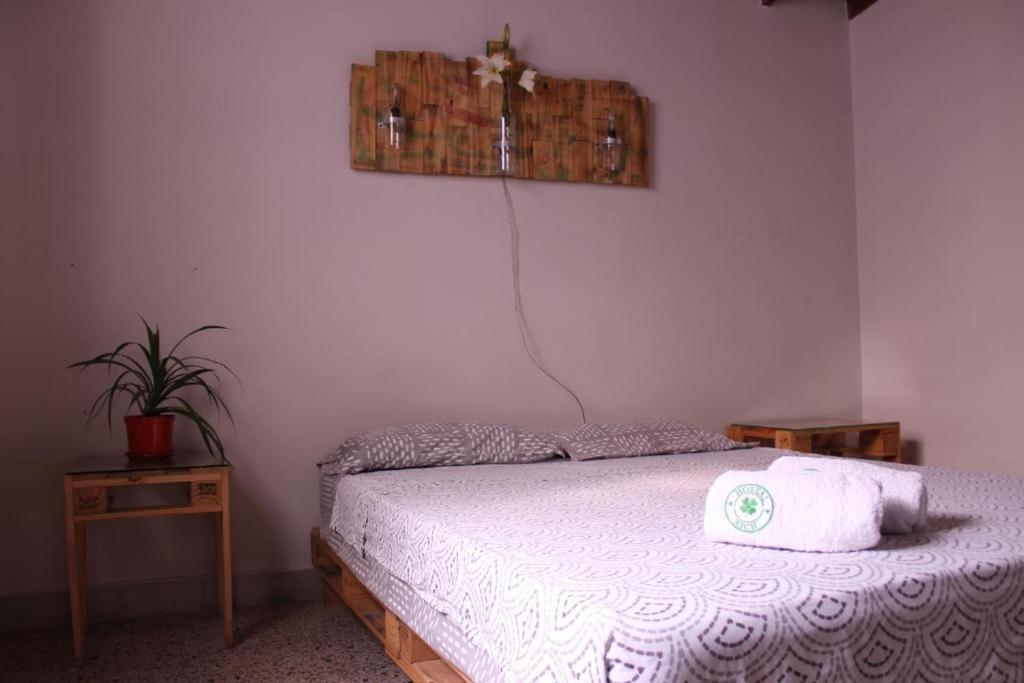 Paz Y Vida Hostel *