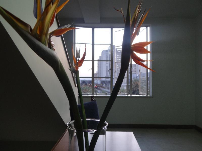 Nutibara 3* Medellin