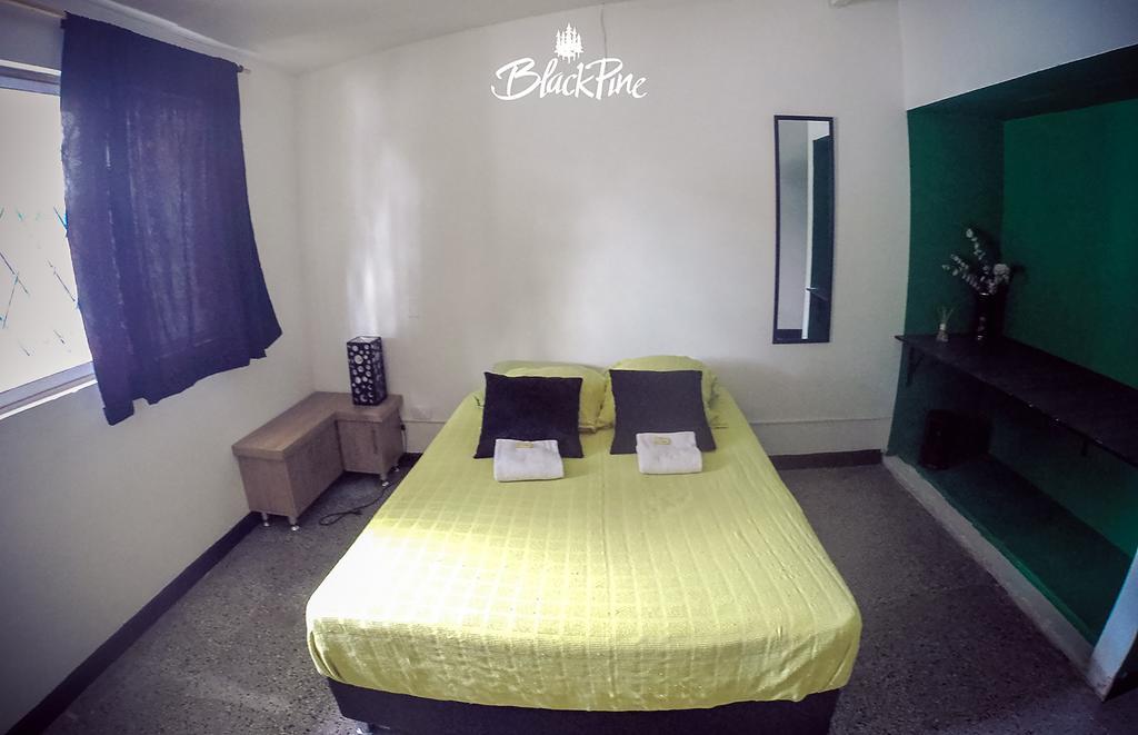 Hostel Blackpine