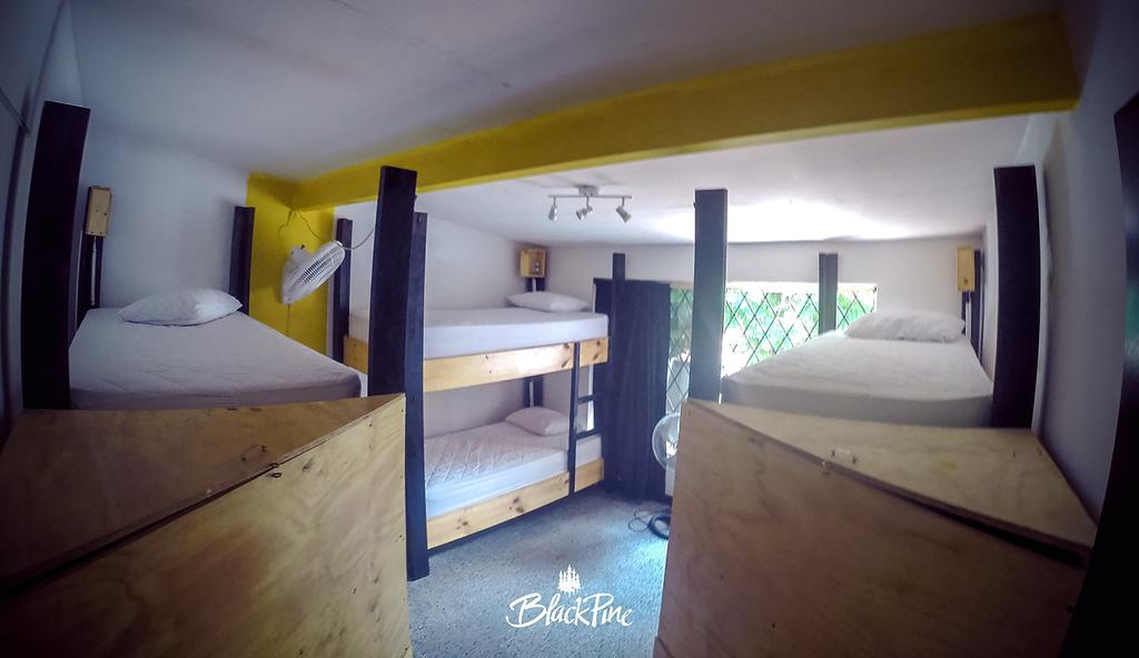 Hostel Blackpine Medellin