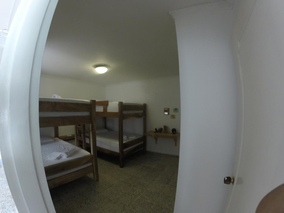 Hostel Forest
