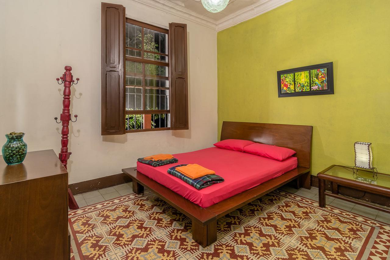 Hostel Raiz