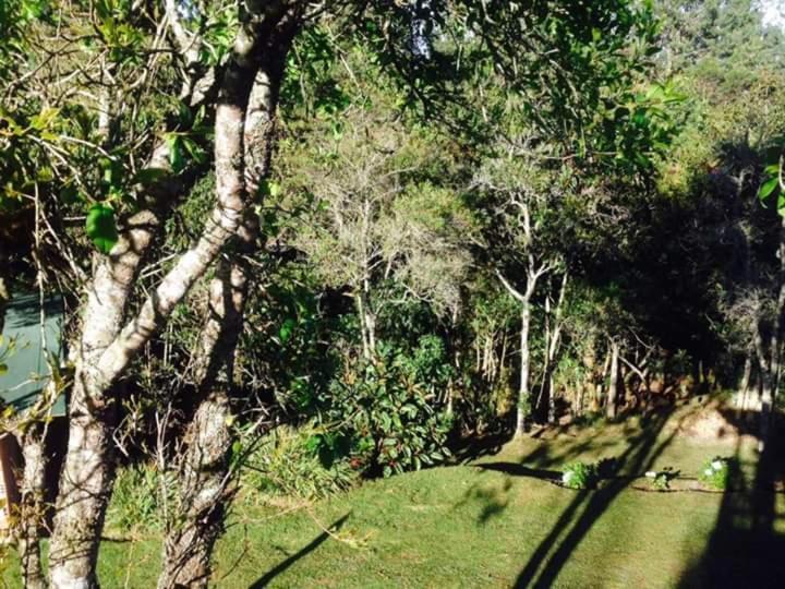 Alma Viva Finca