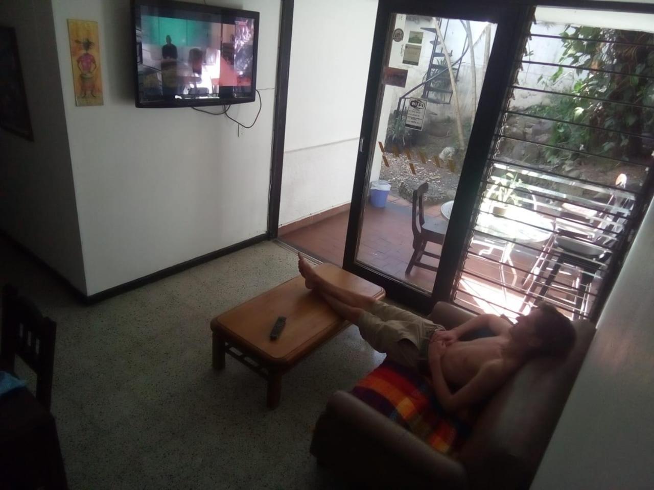 Palm Tree Hostel
