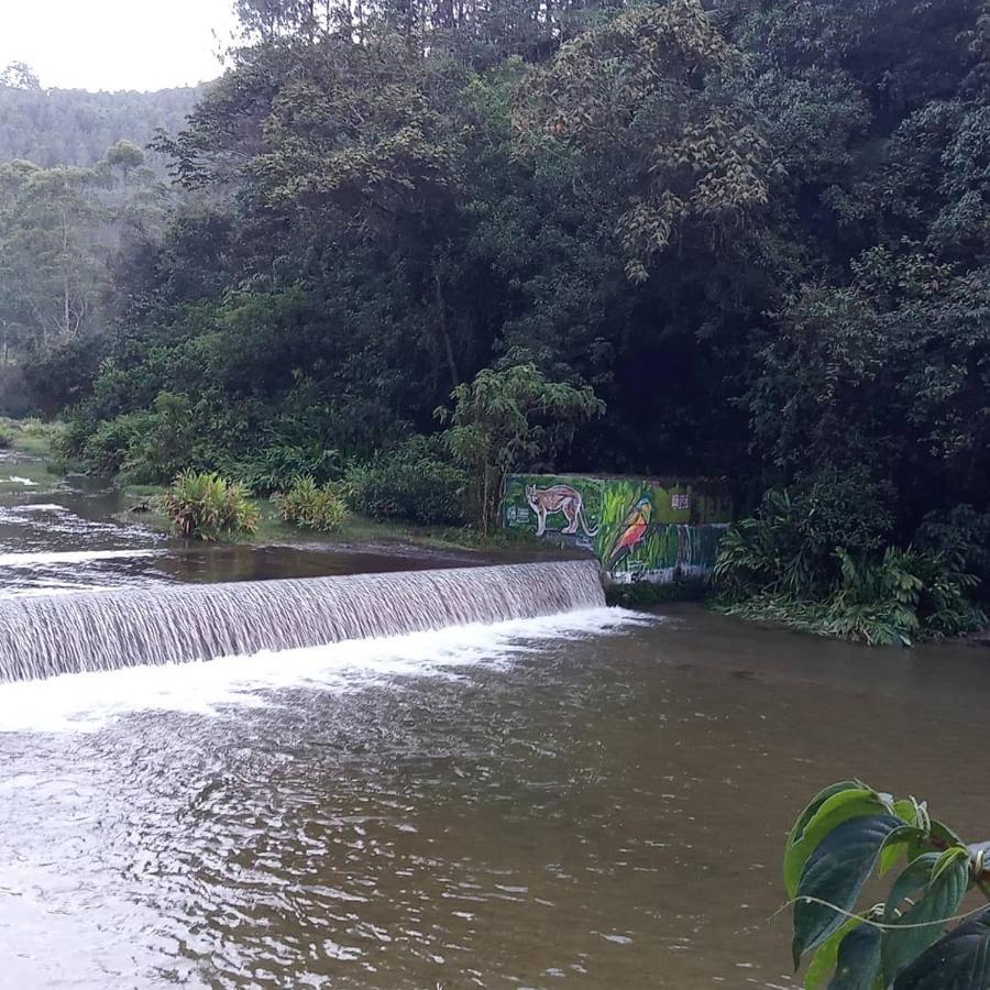 Bosques Del Rio *