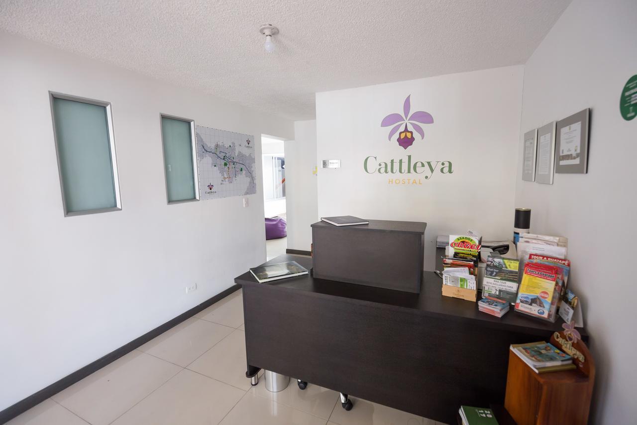 Hostel Cattleya *